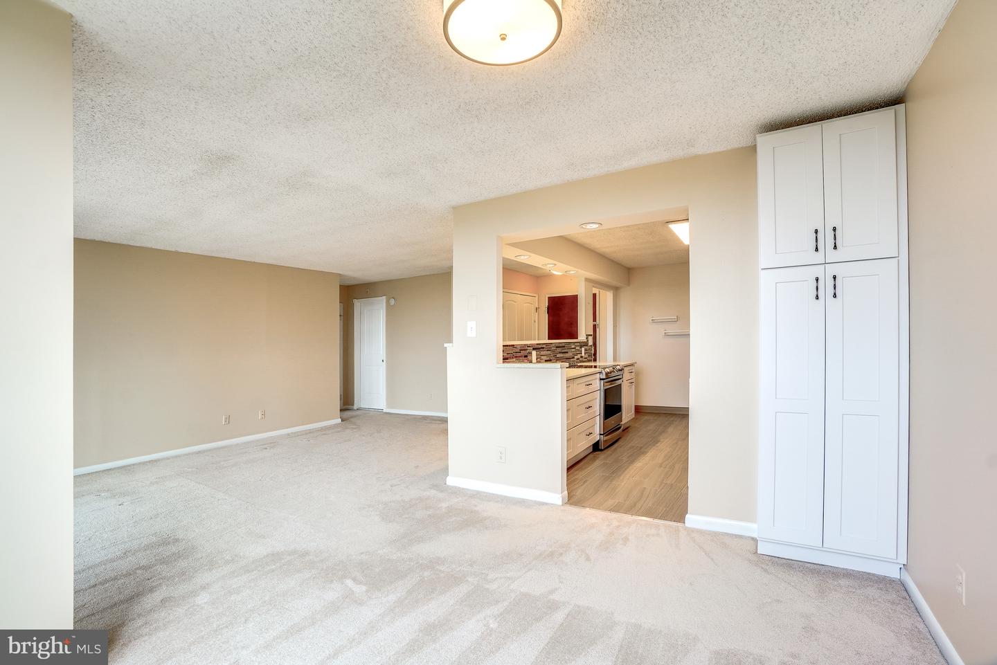 7420 Westlake Ter #1206 Property Photo 17