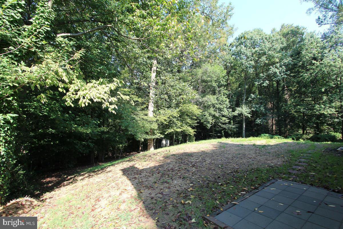 6915 Wilson Ln Property Photo 17