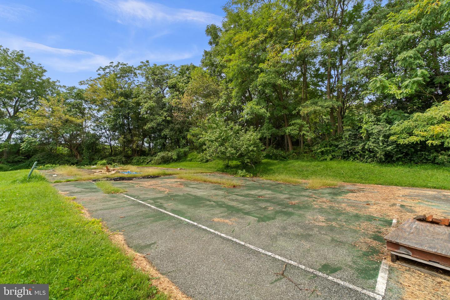 28904 Ridge Property Photo 4