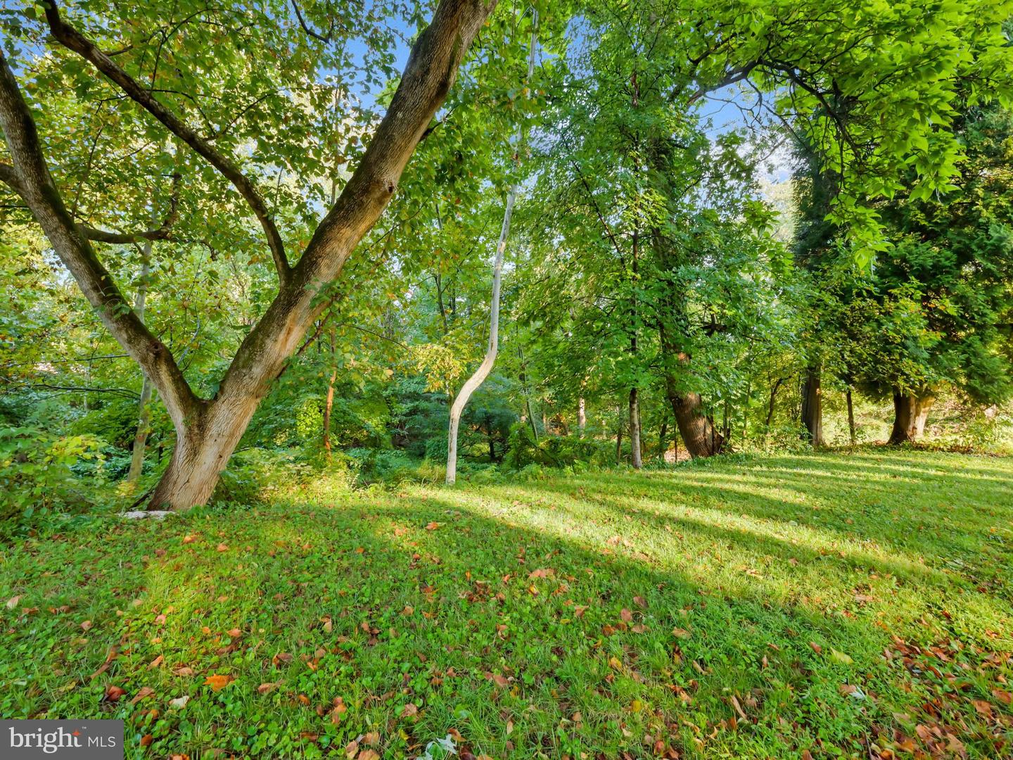 4101 Elizabeth St Property Photo 51