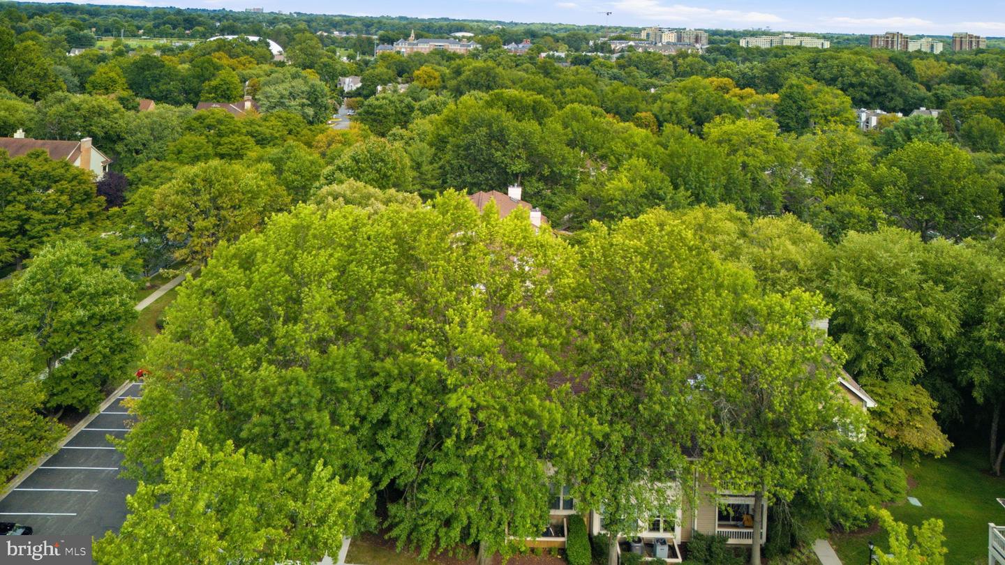 10840 Antigua Ter #103 Property Photo 54