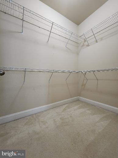 22623 Sweetspire Dr Property Photo 12