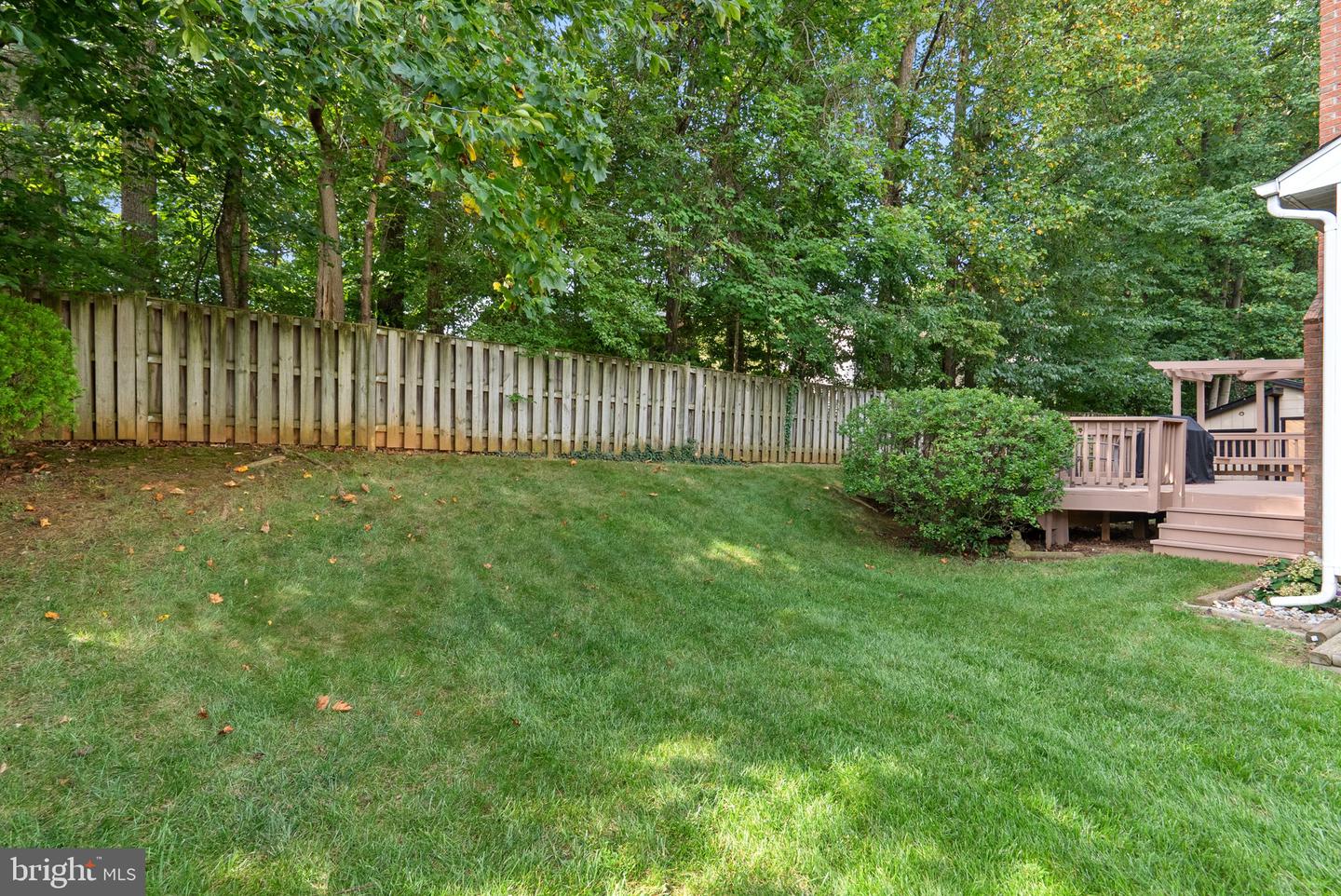 2704 Lindenwood Dr Property Photo 36