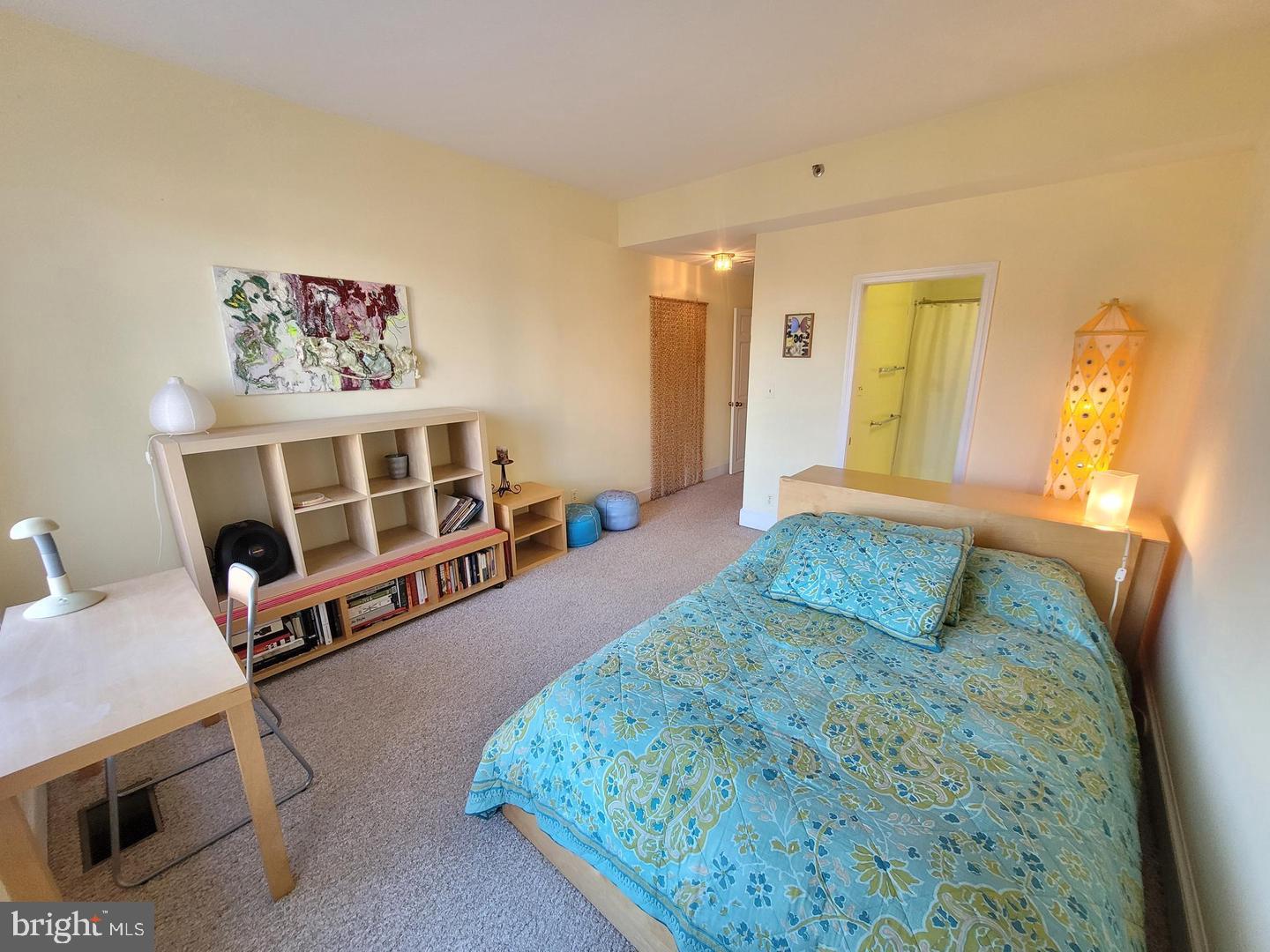 8101 Connecticut Ave #n-610 Property Photo 30