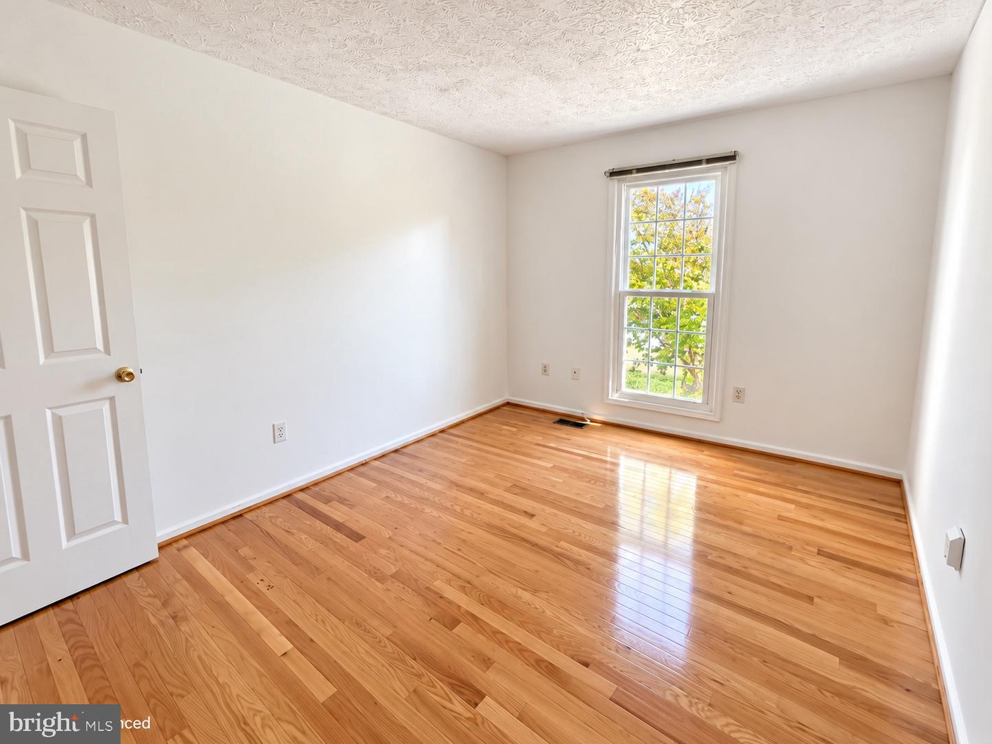 17213 Spates Hill Rd Property Photo 34