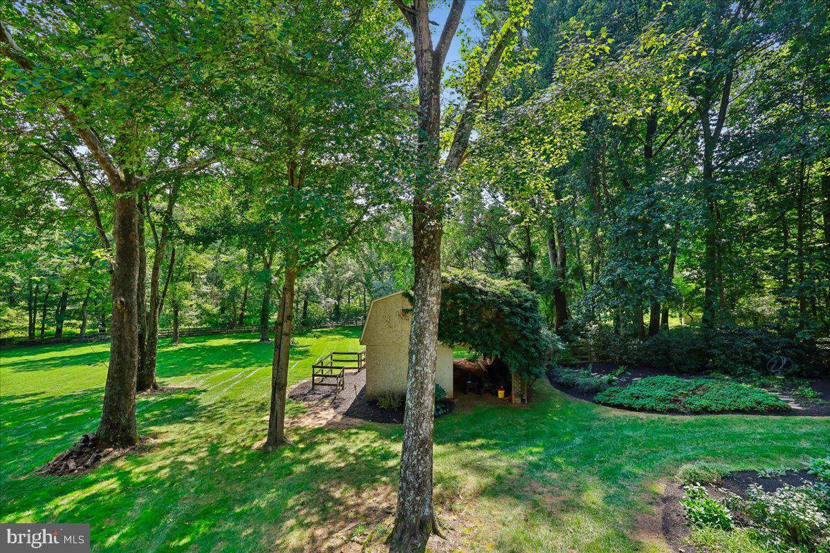 9323 Overlea Dr Property Photo 41