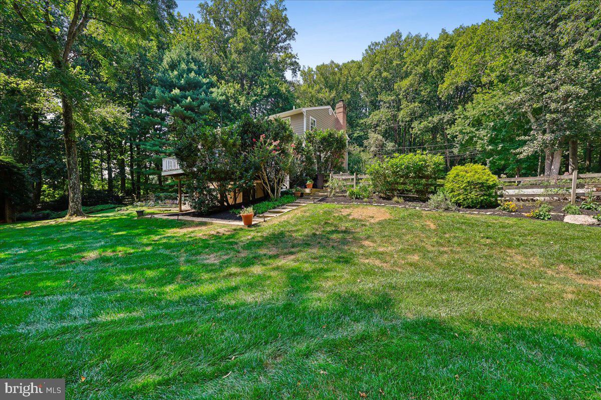 9323 Overlea Dr Property Photo 49