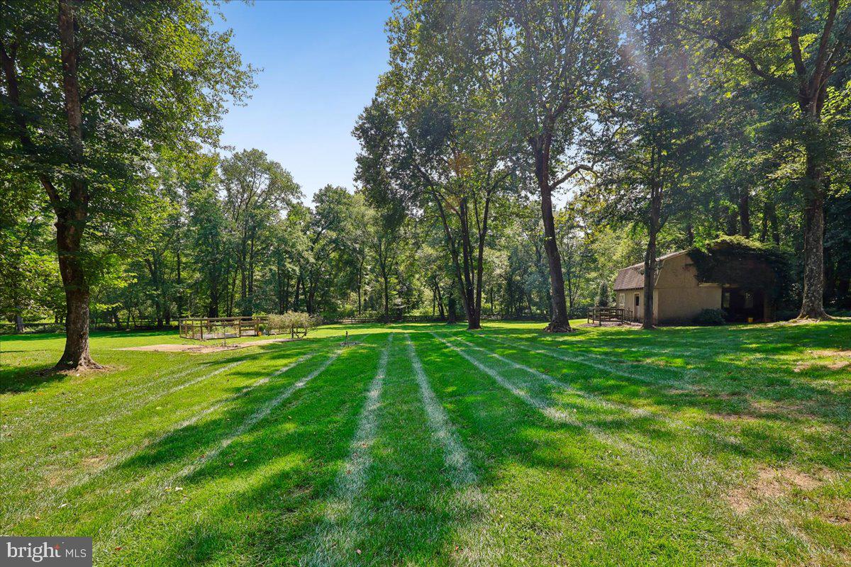 9323 Overlea Dr Property Photo 52