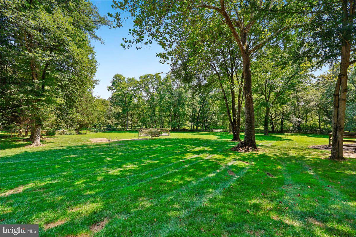 9323 Overlea Dr Property Photo 53