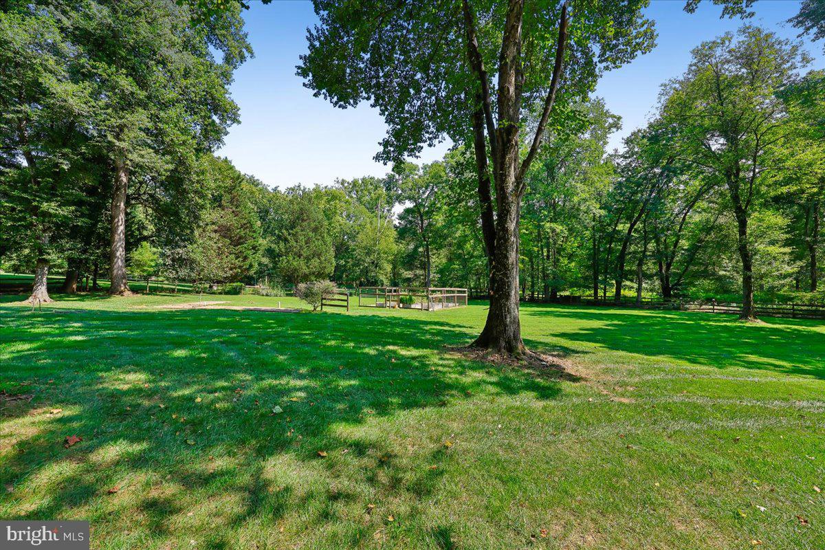 9323 Overlea Dr Property Photo 55