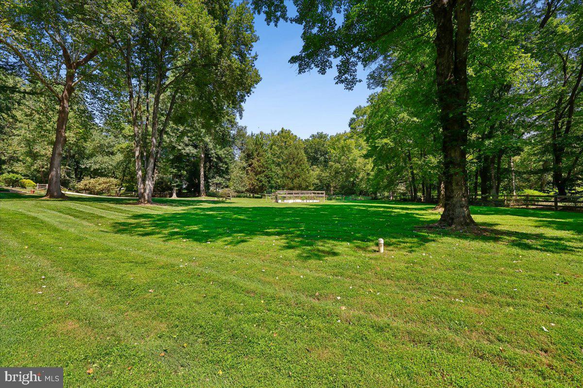 9323 Overlea Dr Property Photo 56