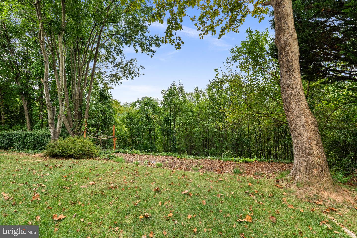 13900 Falconcrest Rd Property Photo 60