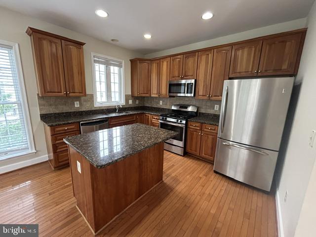 12911 Ethel Rose Way Property Photo 15