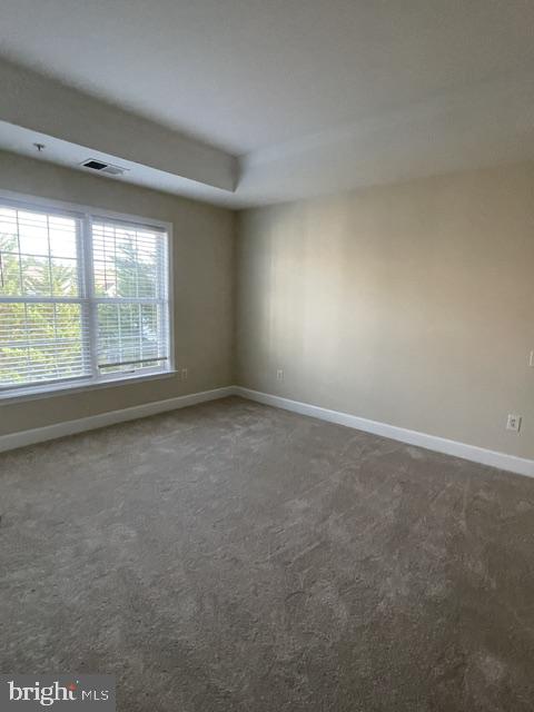 12911 Ethel Rose Way Property Photo 28
