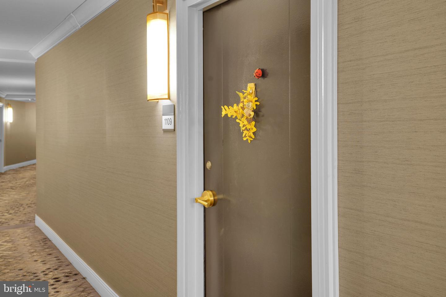 9039 Sligo Creek Pkwy #1109 Property Photo 8