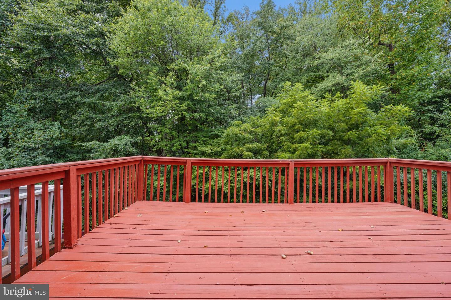3015 Mozart Dr Property Photo 23