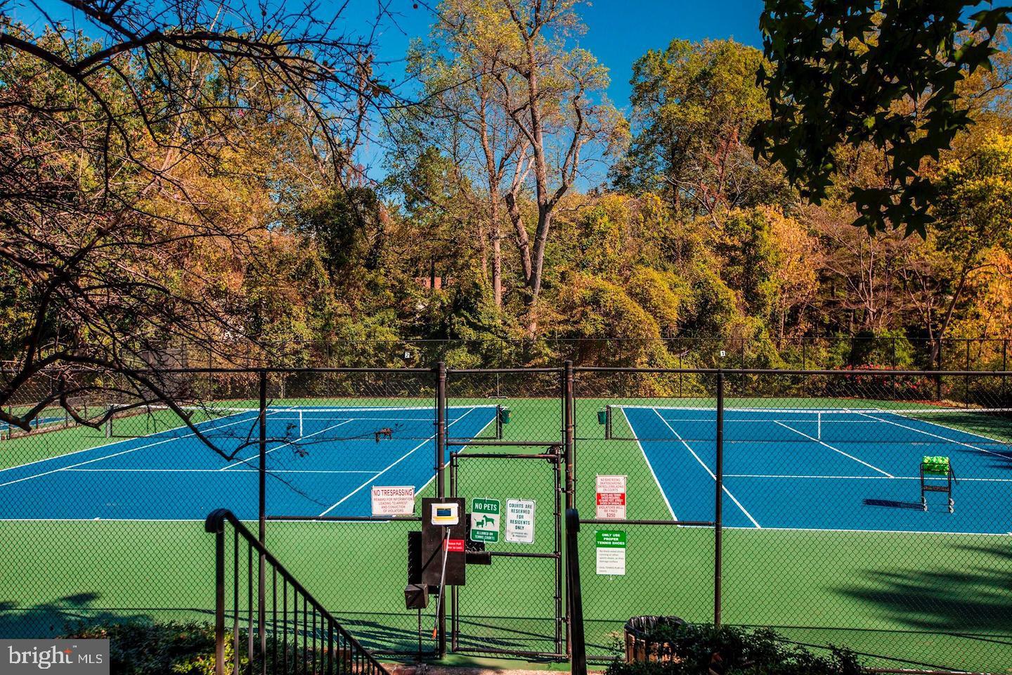 5801 Linden Square Ct Property Photo 29