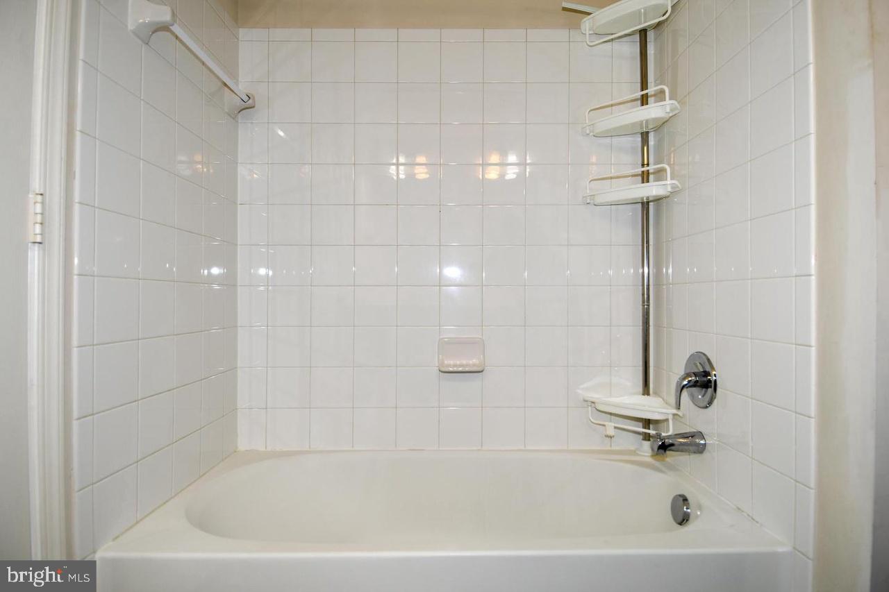 22618 Majestic Elm #57 Property Photo 32