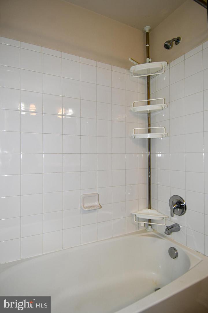 22618 Majestic Elm #57 Property Photo 33
