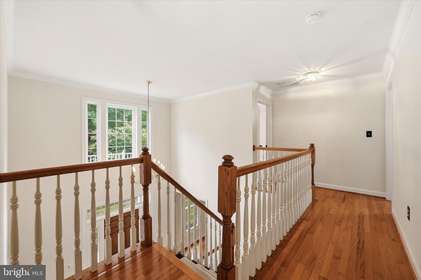 4509 Random Ridge Cir Property Photo 22