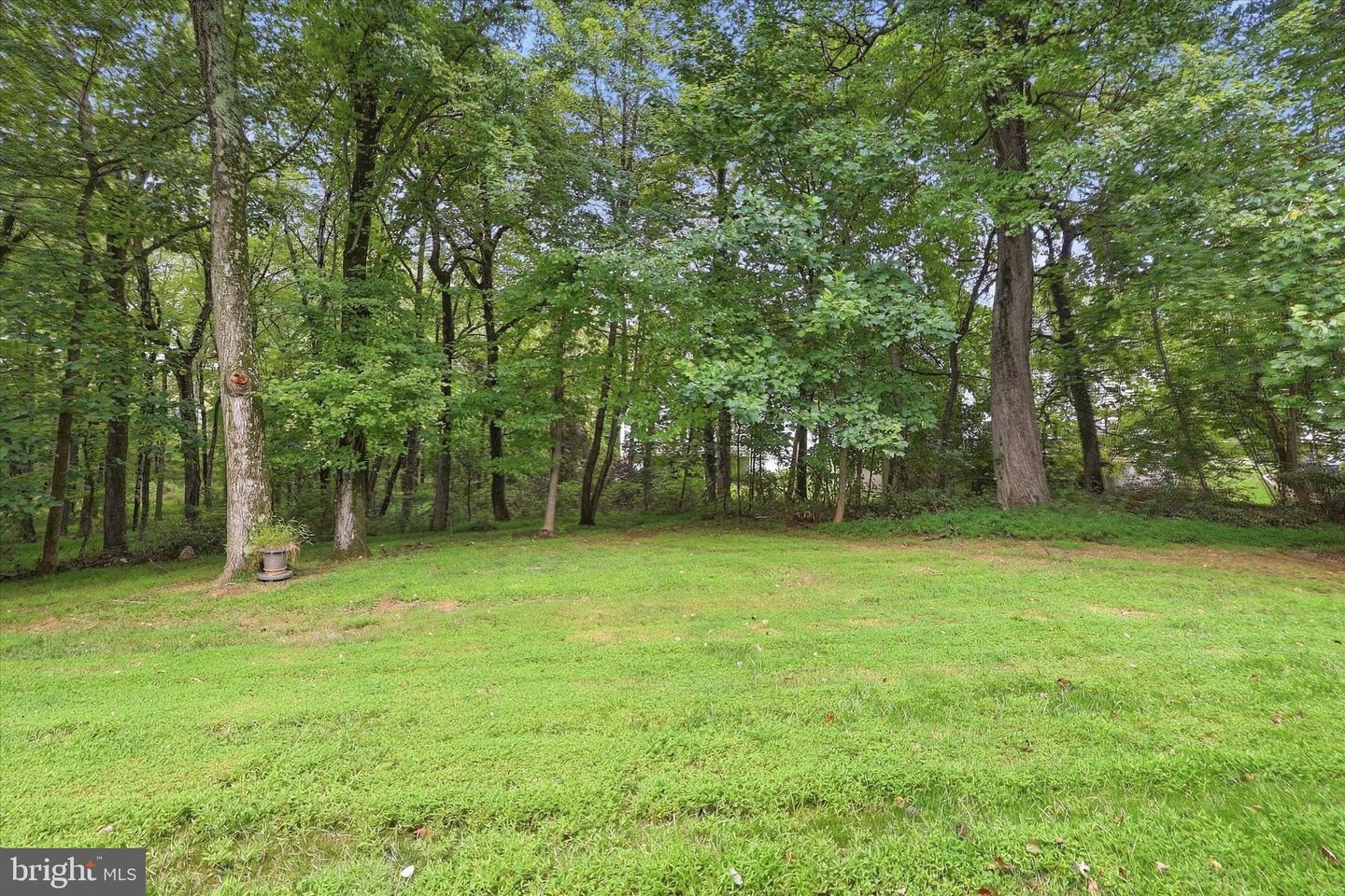 4509 Random Ridge Cir Property Photo 51