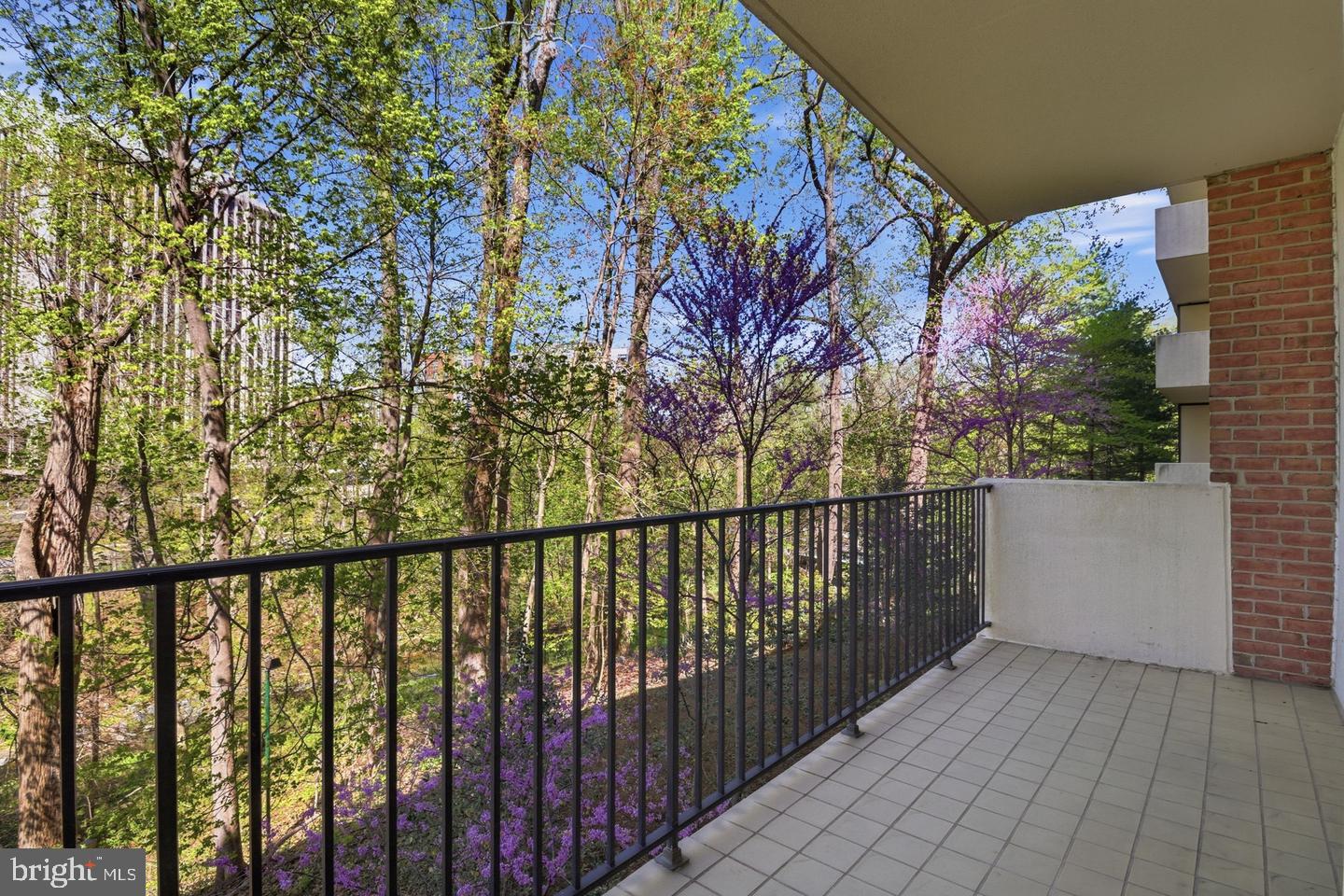 8101 Connecticut Ave #n-304 Property Photo 1