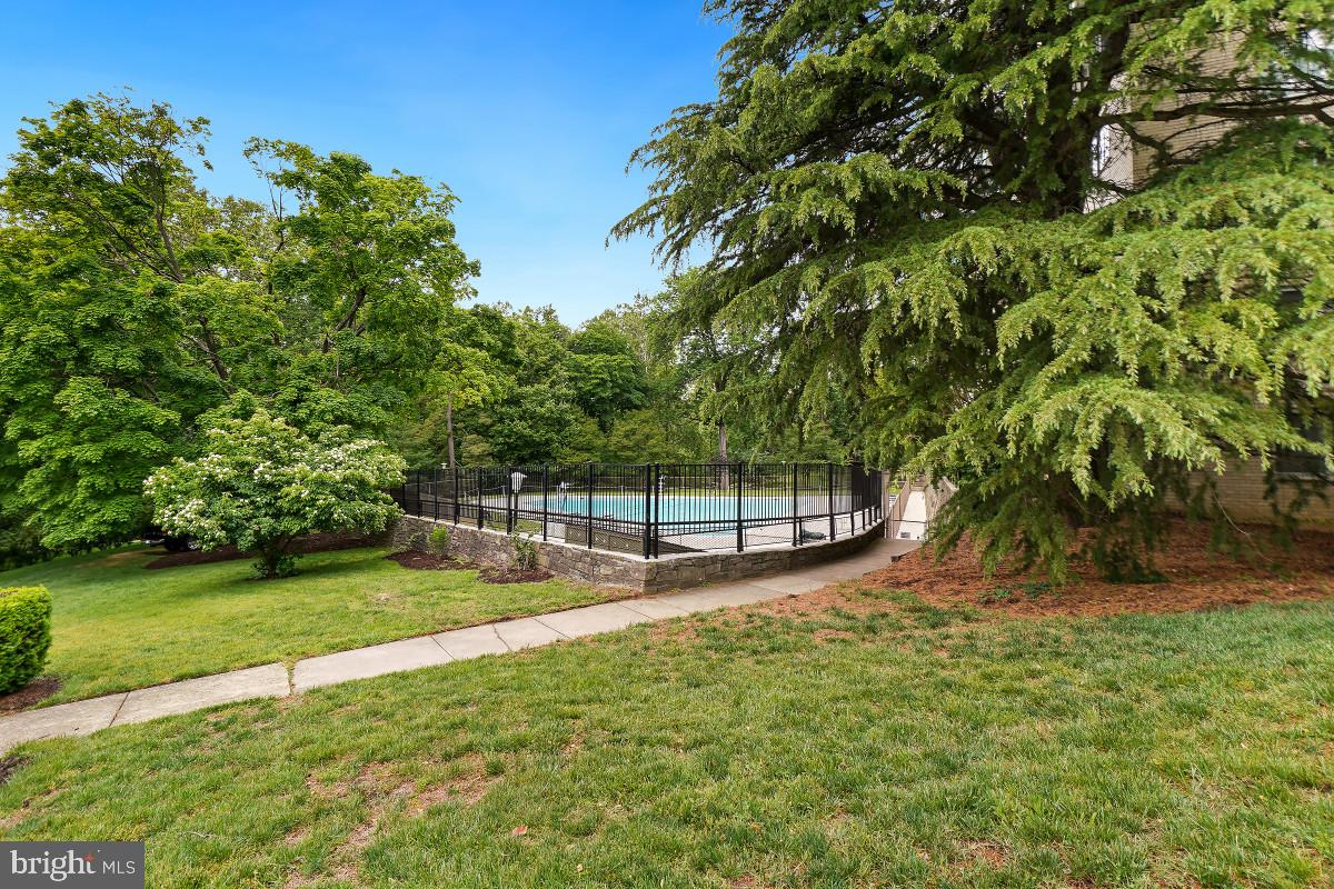 10500 Rockville Pike #304 Property Photo 47