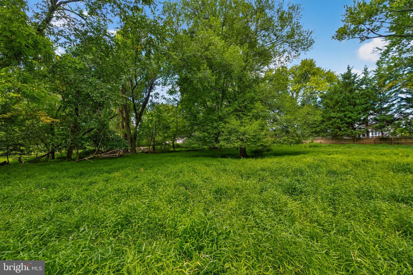 13904 Overton Ln Property Photo 22