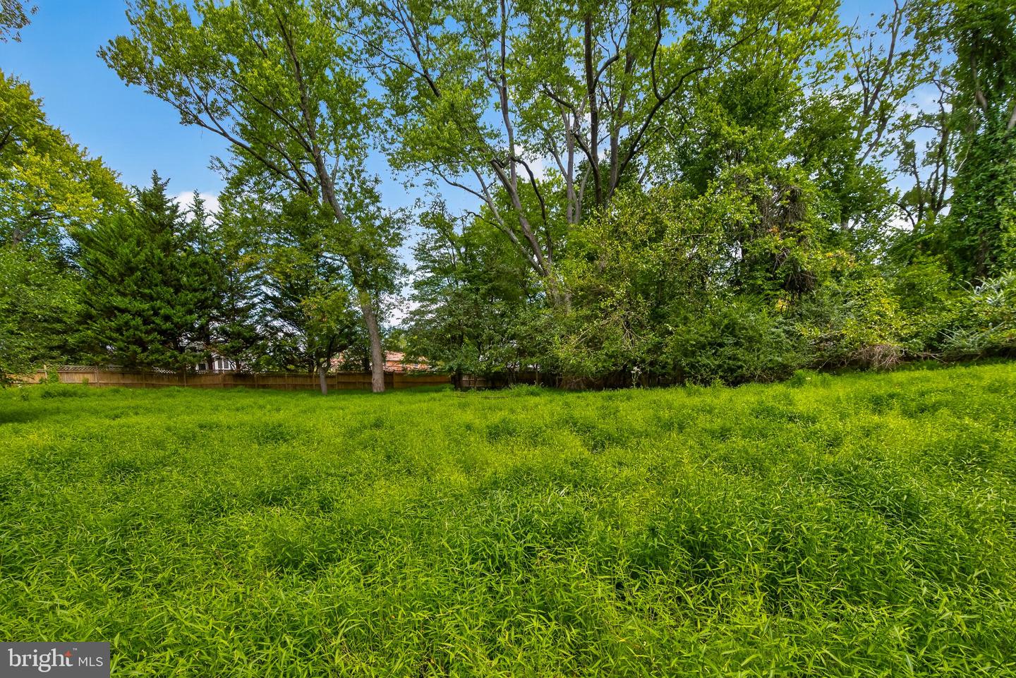 13904 Overton Ln Property Photo 25