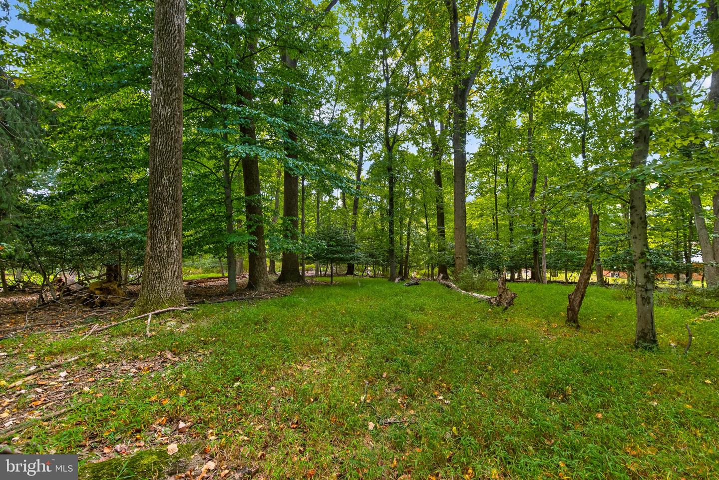 13904 Overton Ln Property Photo 26
