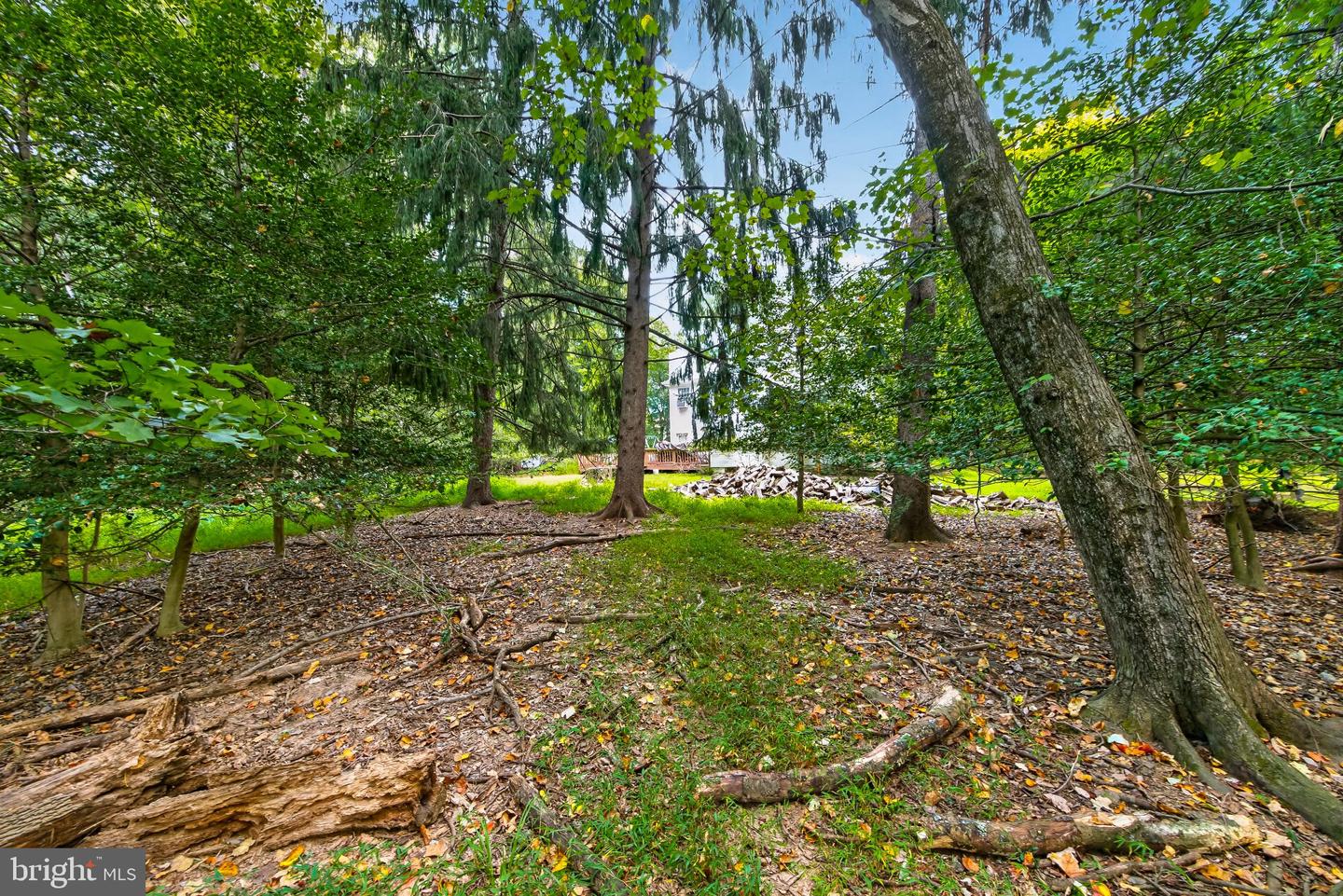 13904 Overton Ln Property Photo 27