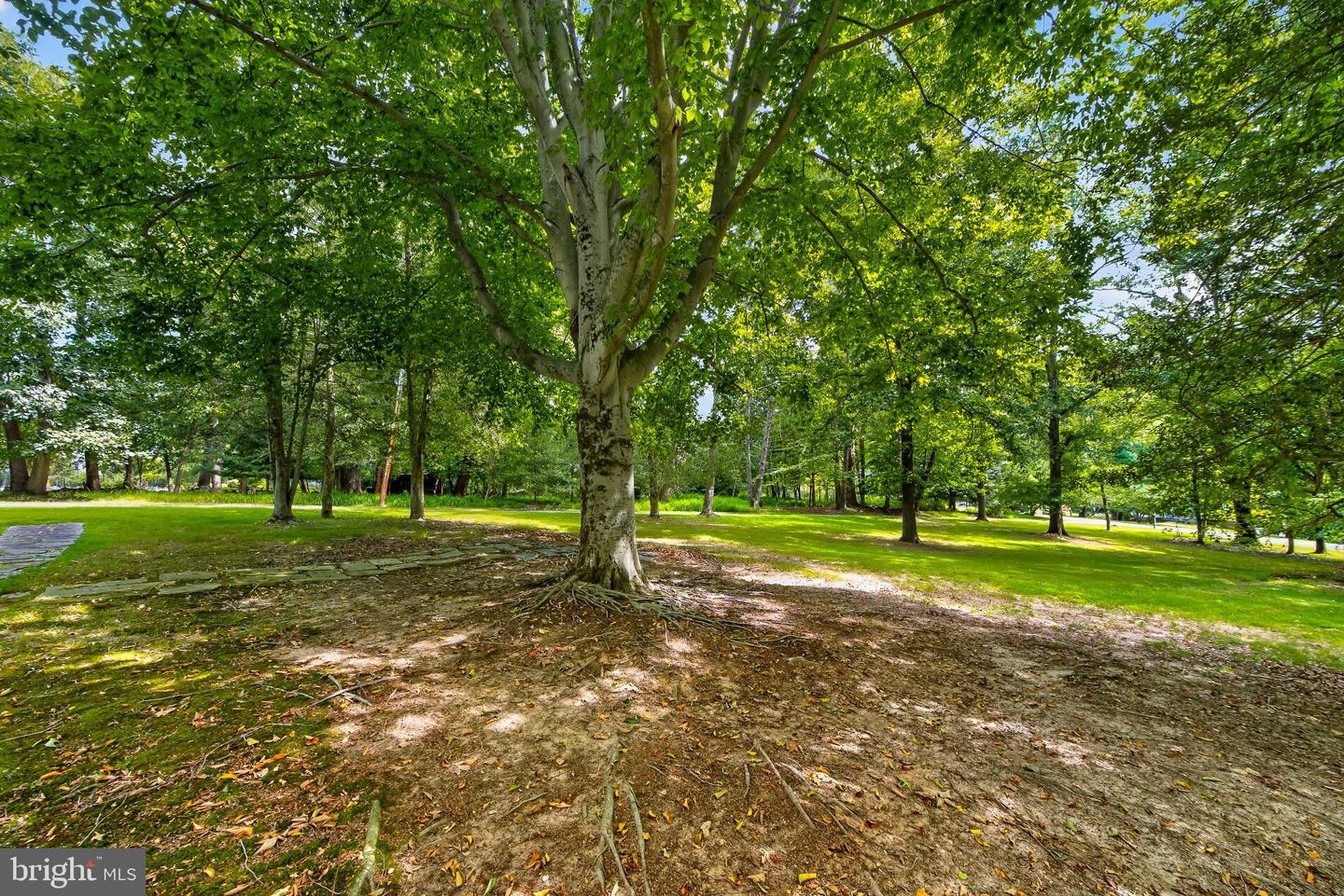 13904 Overton Ln Property Photo 30