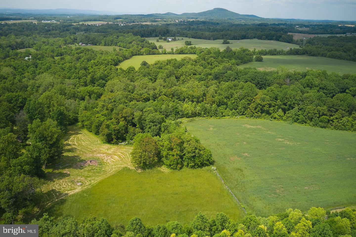 21050 Big Woods Rd Property Photo 1