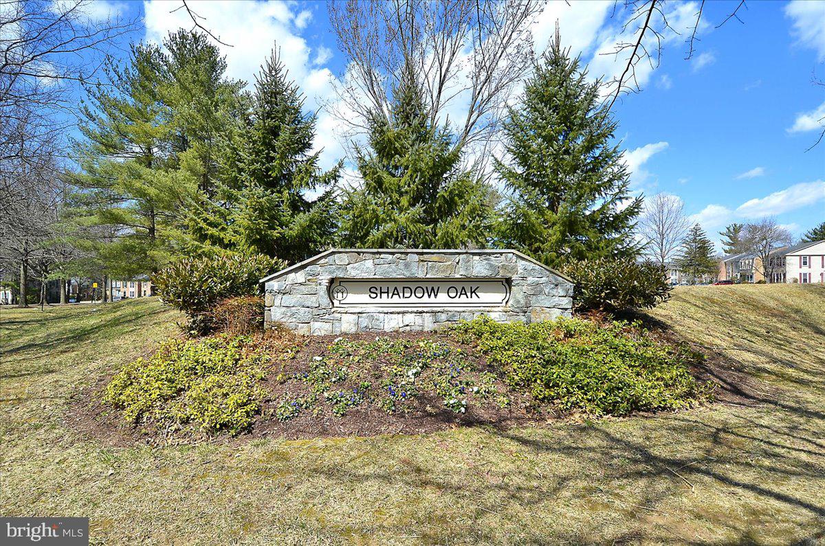 10057 Maple Leaf Dr Property Photo 51