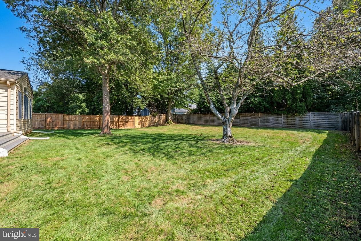 11624 Paramus Dr Property Photo 65