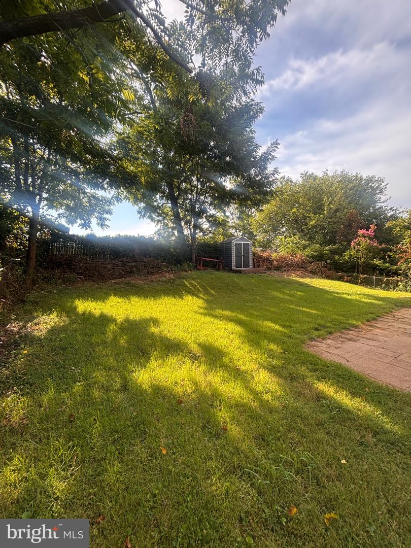 11203 Dodson Ln Property Photo 41