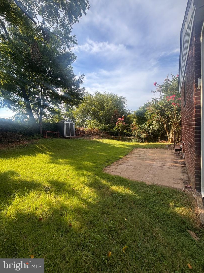 11203 Dodson Ln Property Photo 42