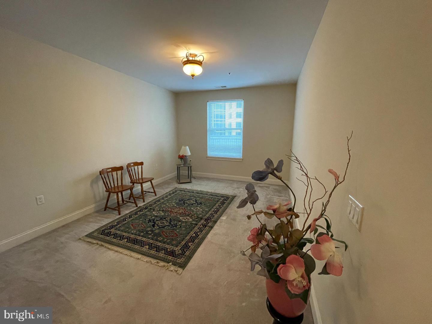 38 Maryland Ave #224 Property Photo 10