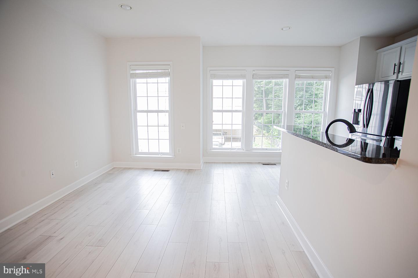 12910 Ethel Rose Way Property Photo 5