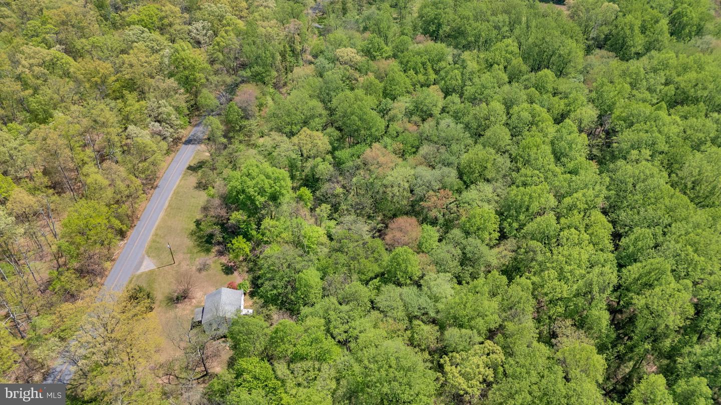 20730 Big Woods Rd Property Photo 4
