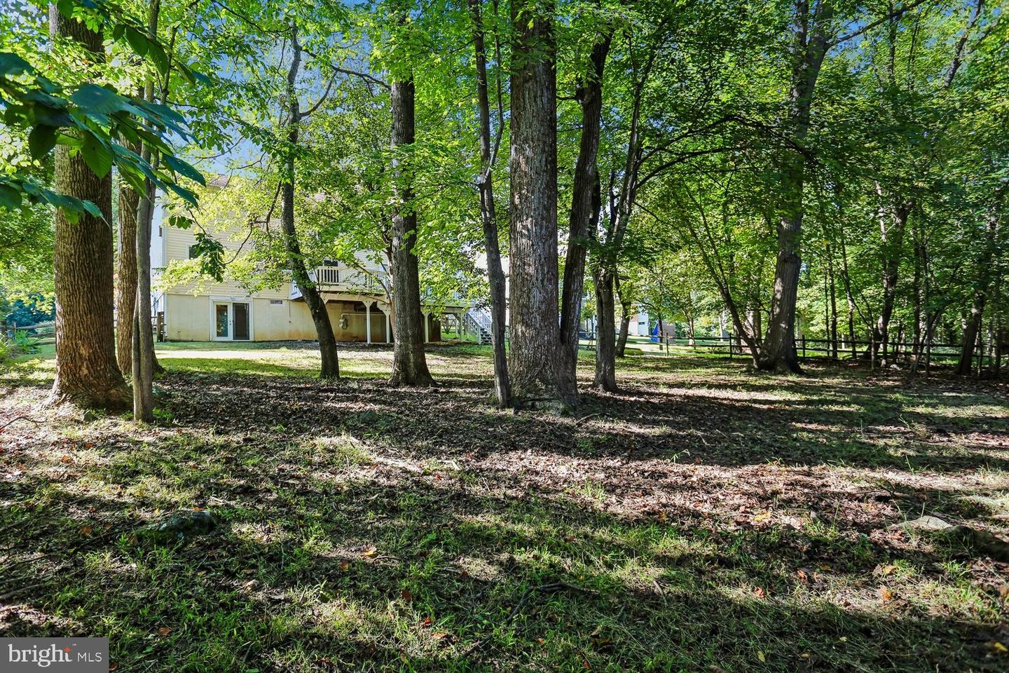11568 Paramus Dr Property Photo 66