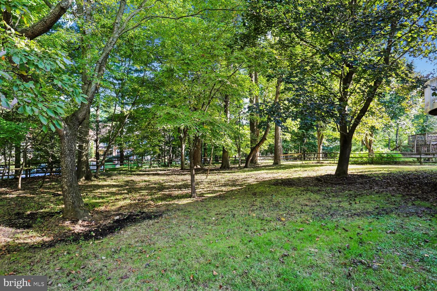 11568 Paramus Dr Property Photo 67