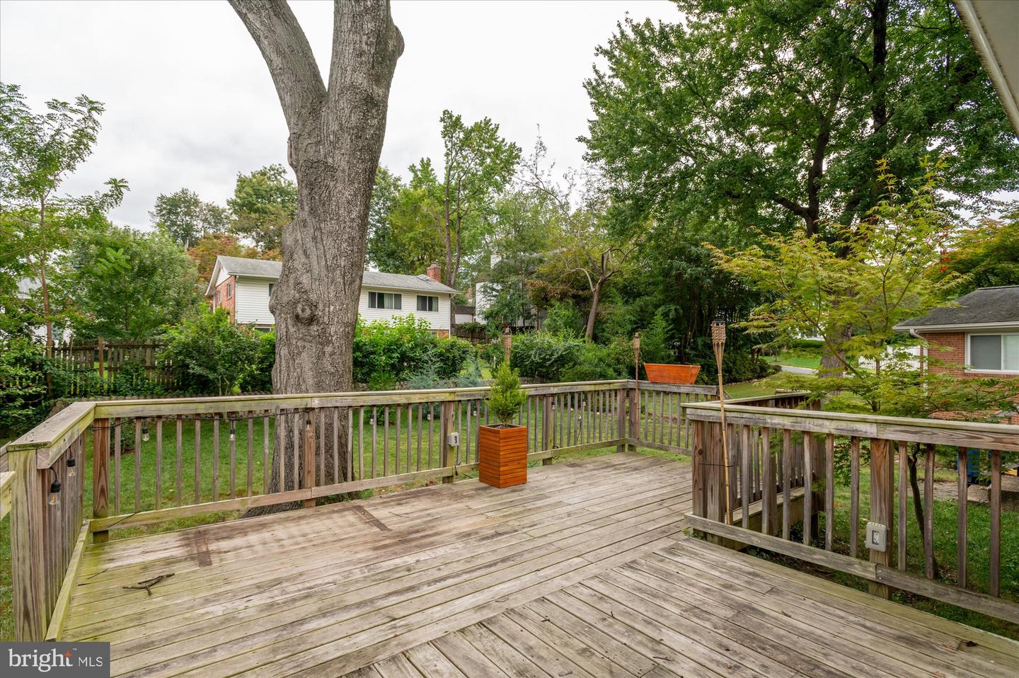 9834 Cherry Tree Ln Property Photo 33