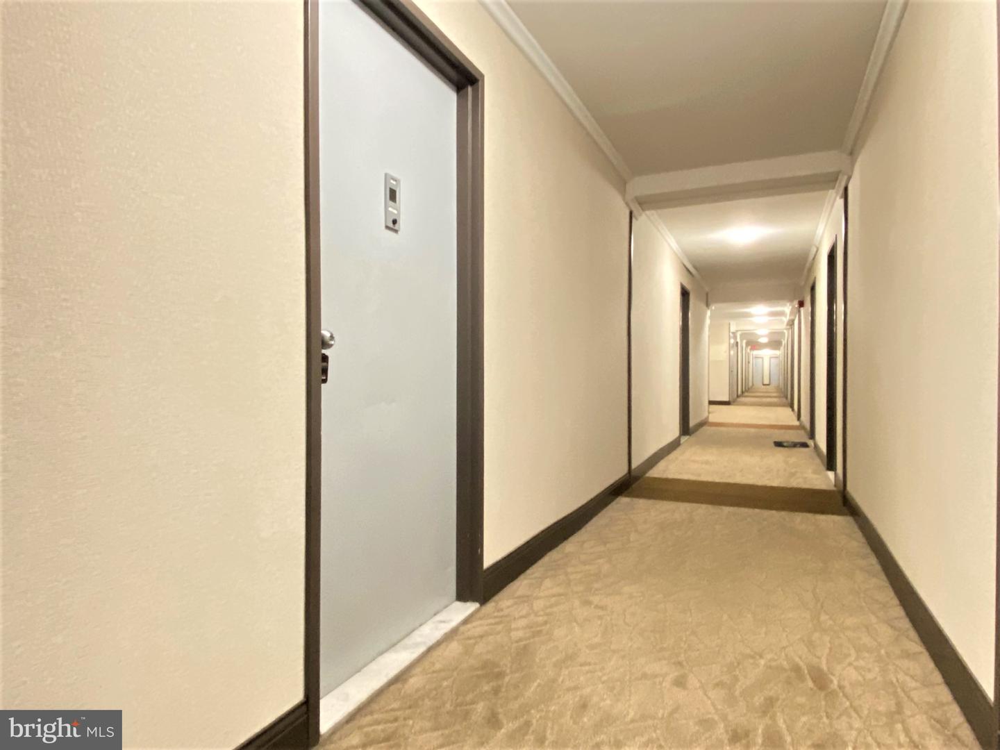 1900 Lyttonsville Rd #1103 Property Photo 4