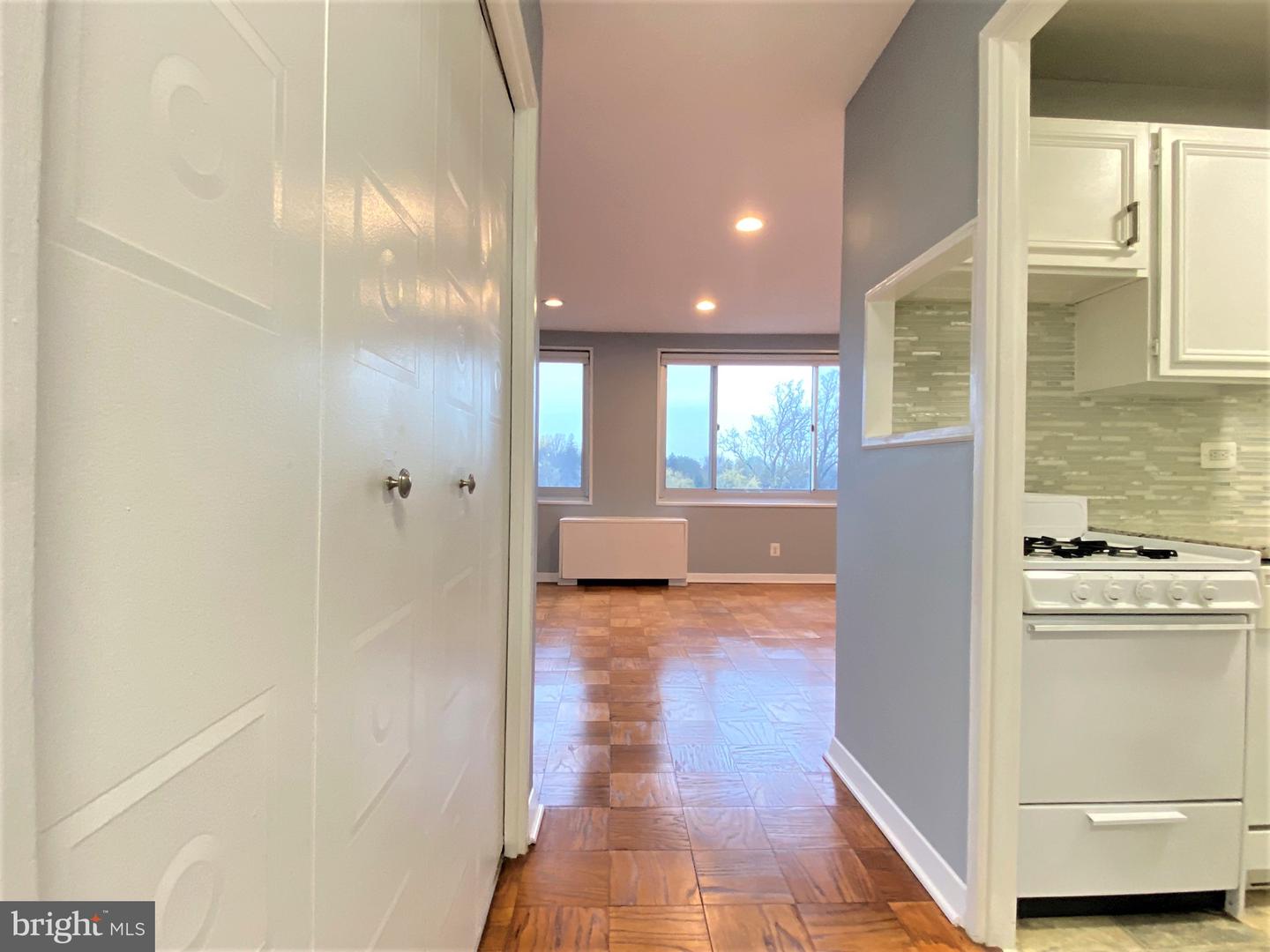 1900 Lyttonsville Rd #1103 Property Photo 11