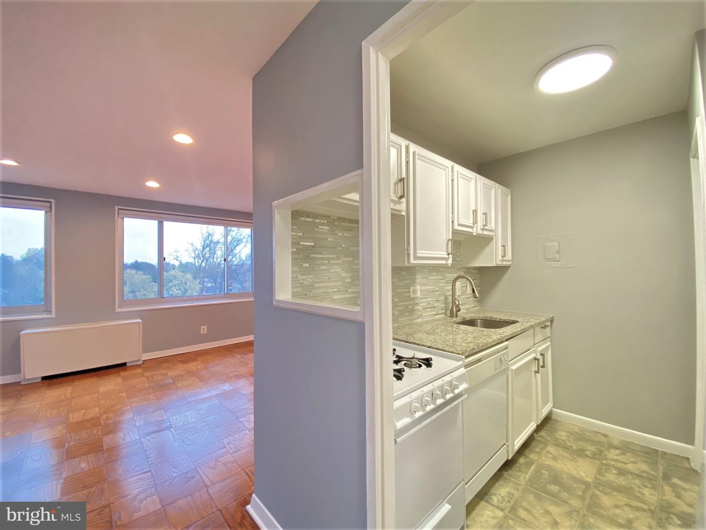 1900 Lyttonsville Rd #1103 Property Photo 14
