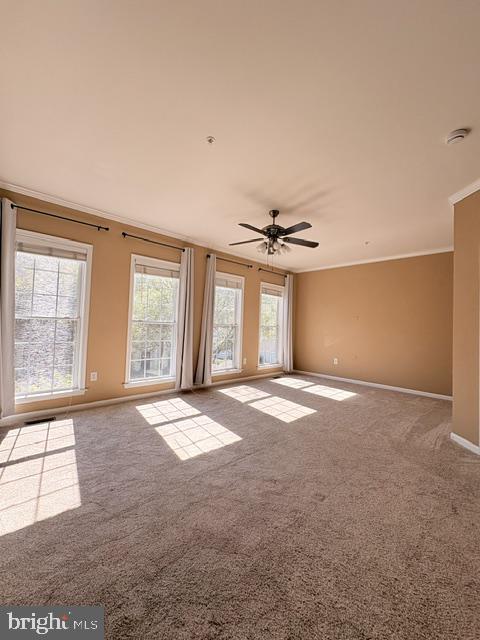 1115 Havencrest St Property Photo 19
