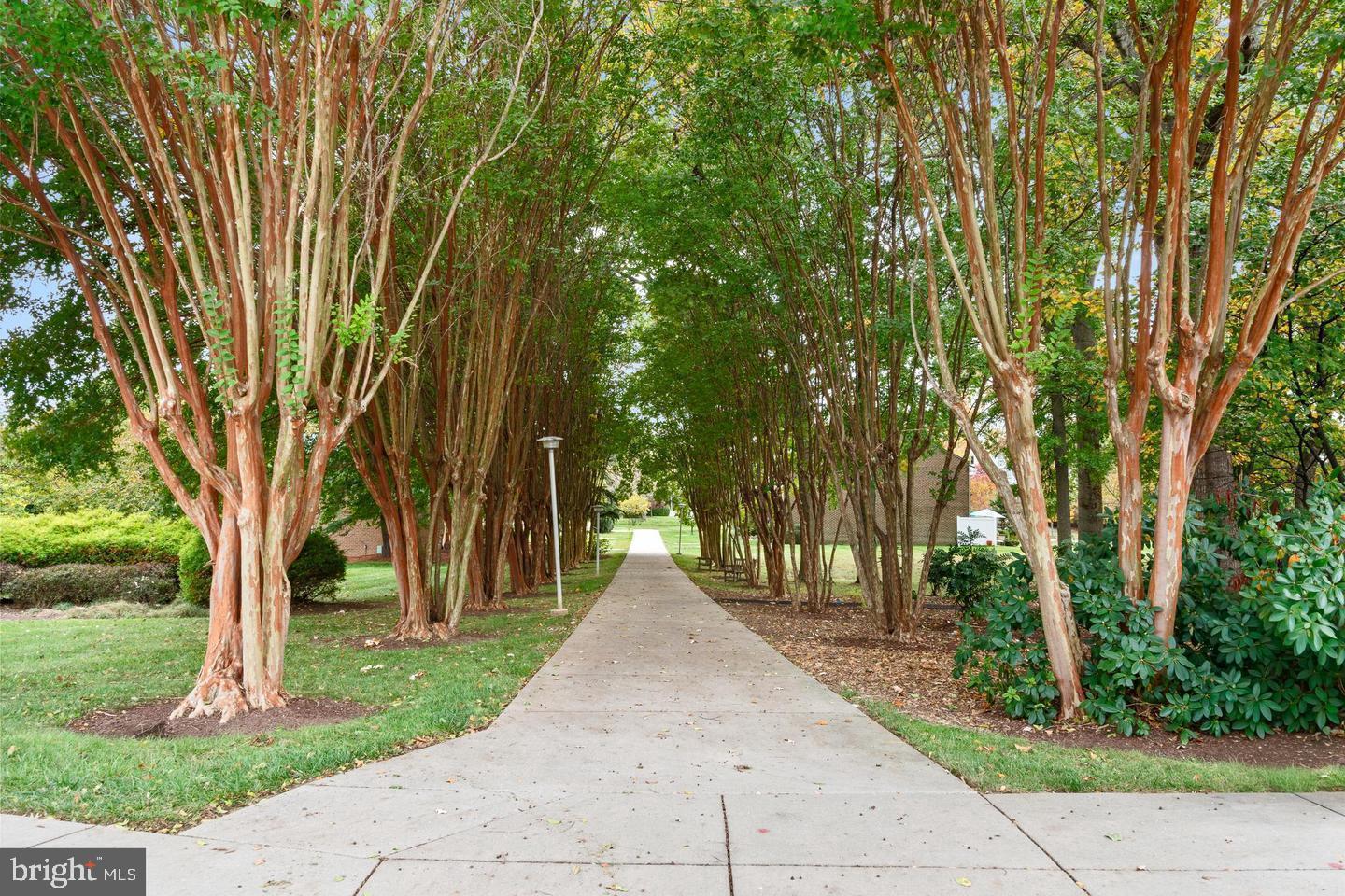 15115 Interlachen Dr #3-225 Property Photo 37