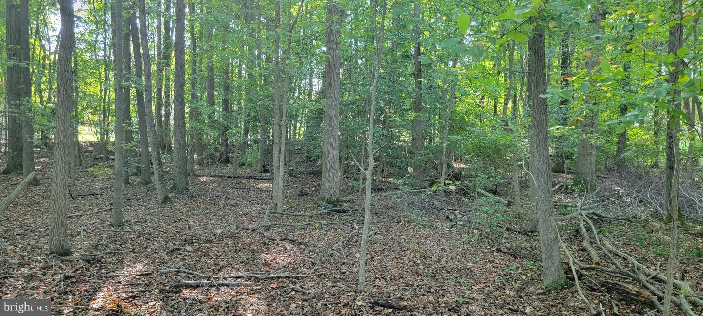 BEECH LN #PARCEL 27
