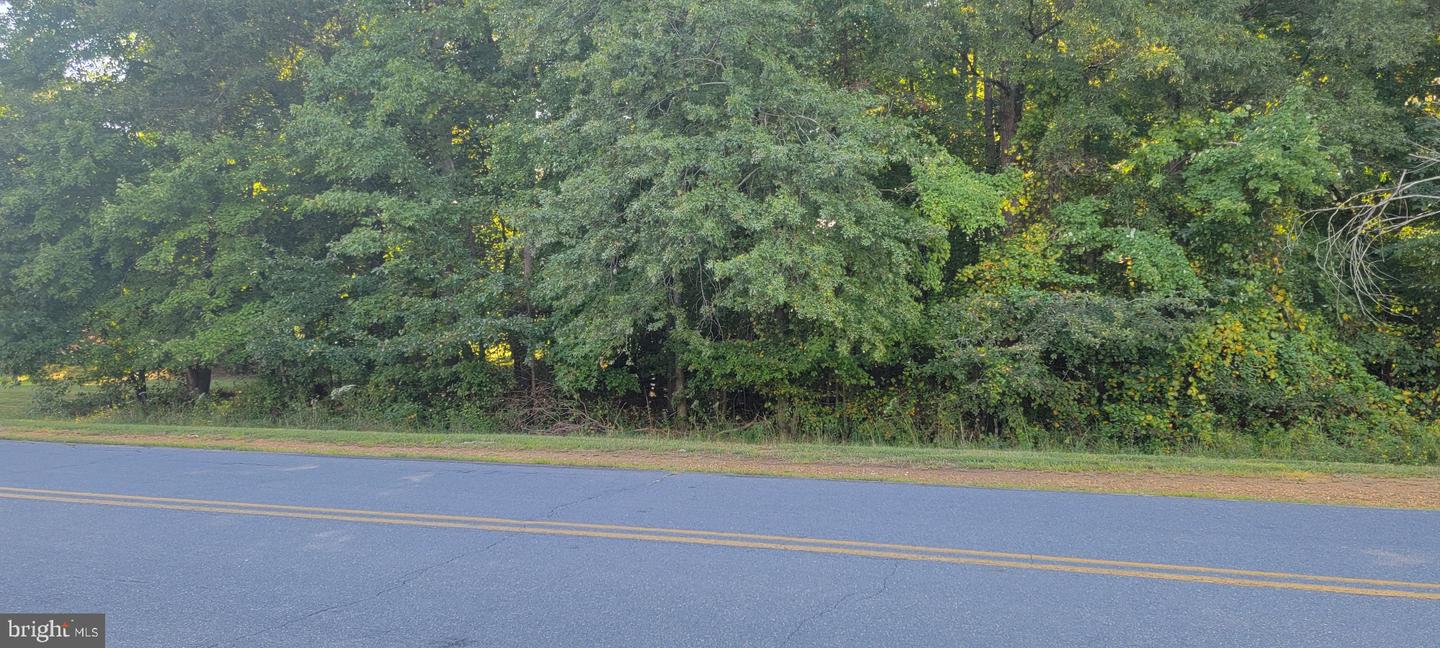 Beech Ln #parcel 27 Property Photo 2